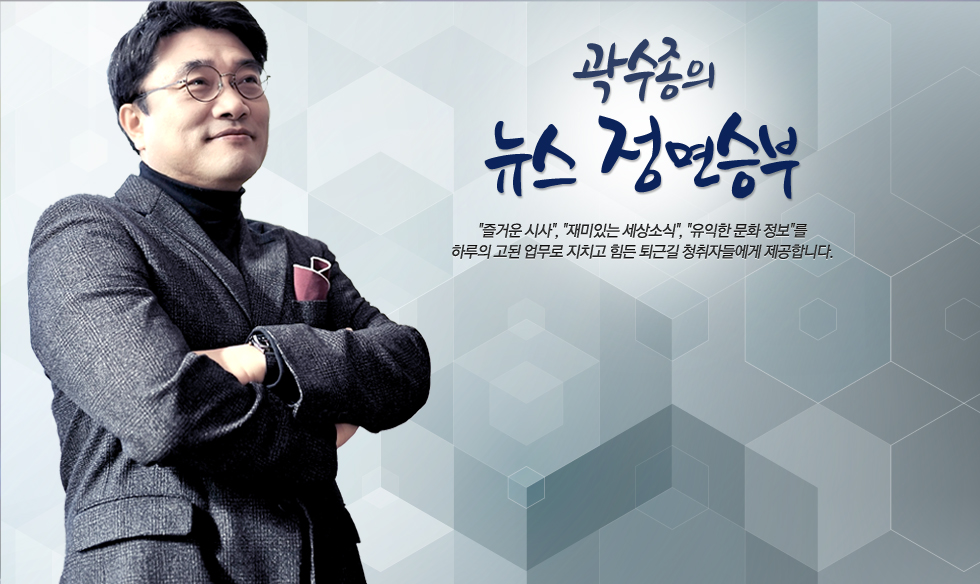홍지인 이미지